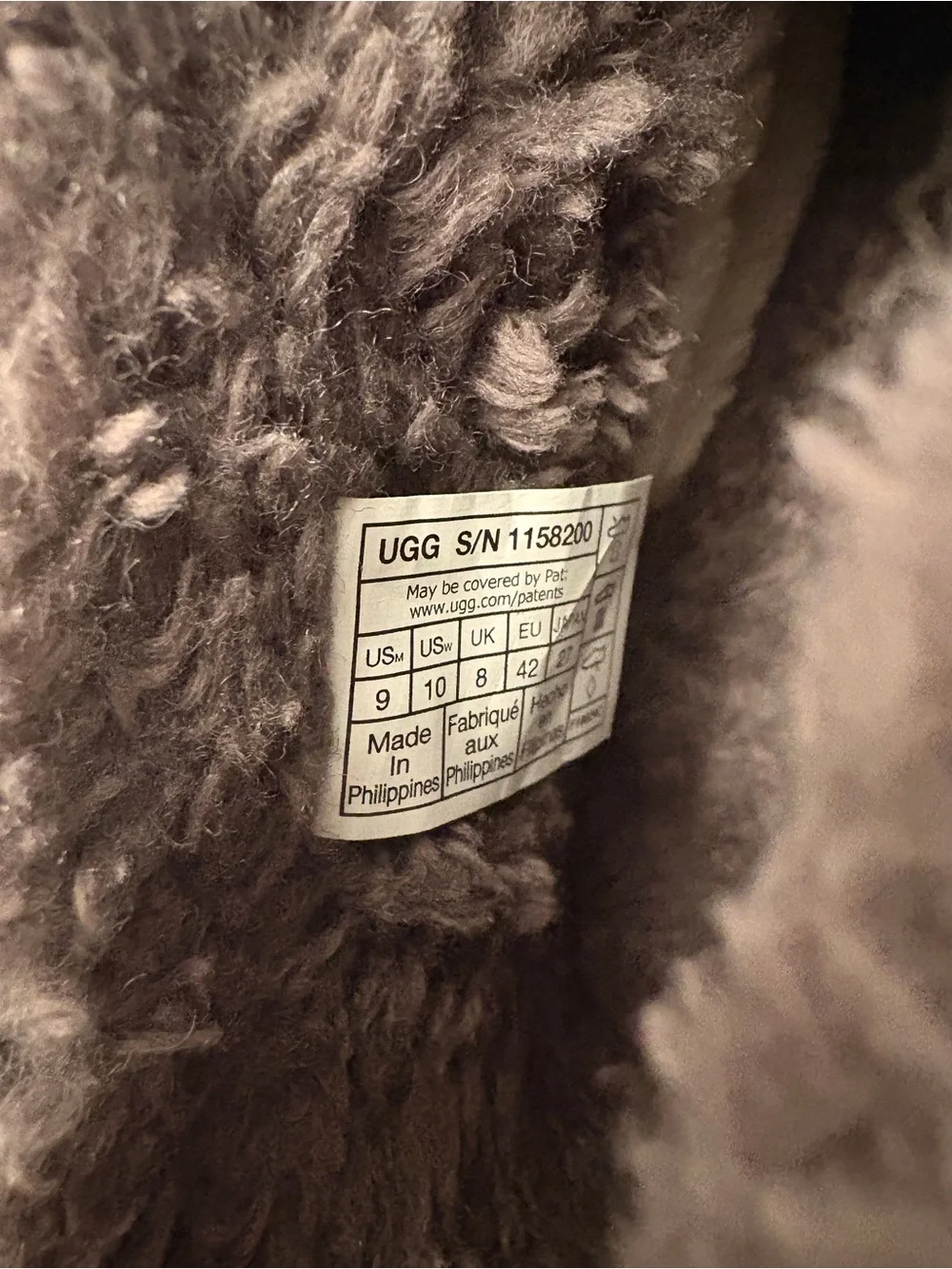 UGG men ankle